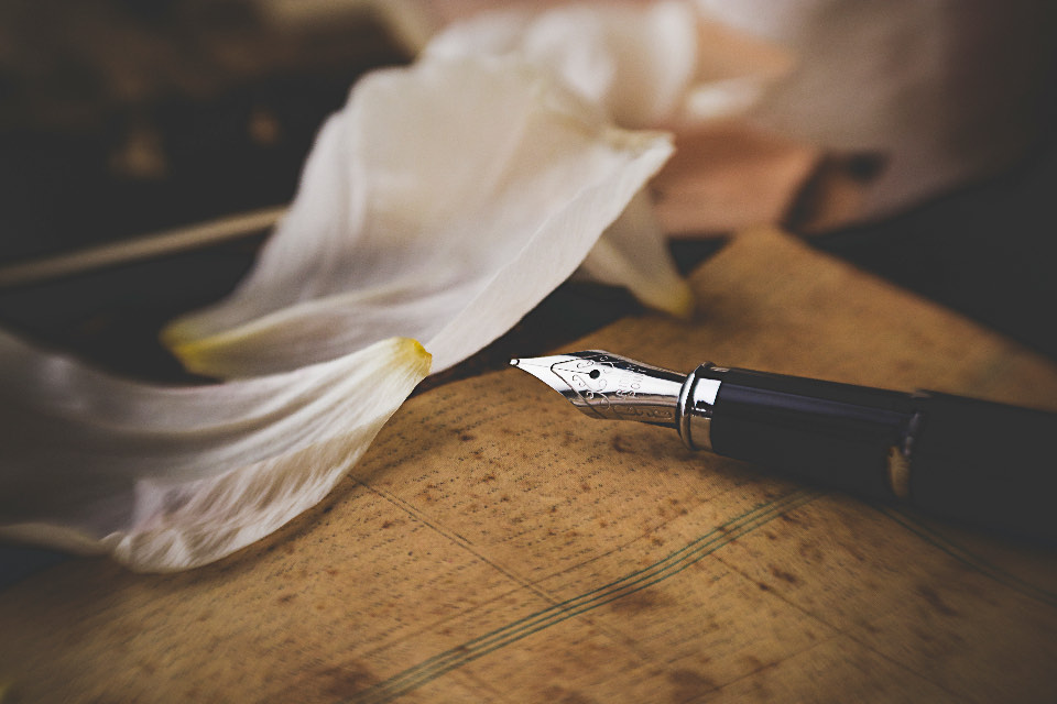 A fountain pen resting beside white petals